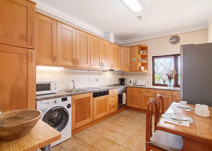 Luisa Gale 알부페이라